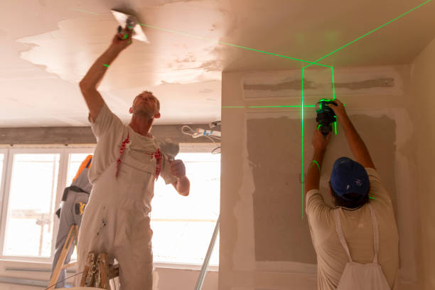 Best Drywall Removal and Disposal  in Aviston, IL